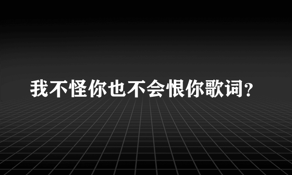 我不怪你也不会恨你歌词？