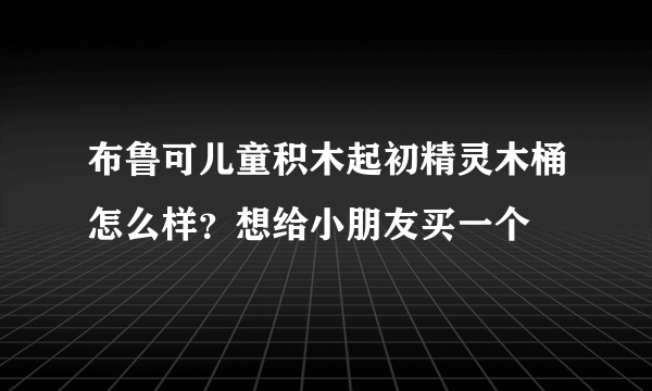 布鲁可儿童积木起初精灵木桶怎么样？想给小朋友买一个