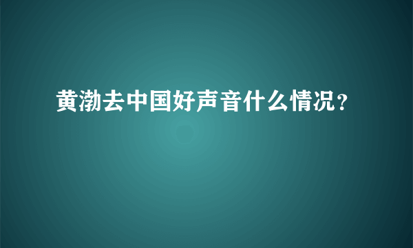 黄渤去中国好声音什么情况？