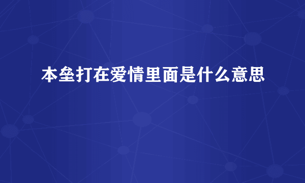 本垒打在爱情里面是什么意思