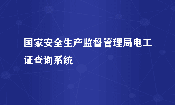 国家安全生产监督管理局电工证查询系统