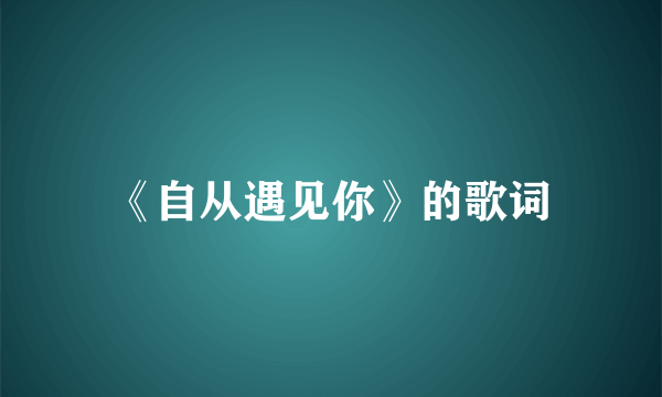 《自从遇见你》的歌词