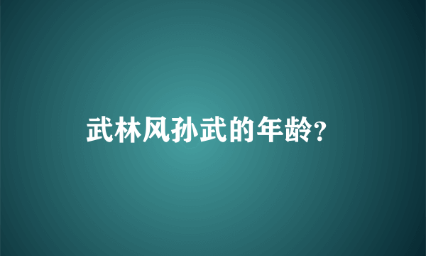 武林风孙武的年龄？