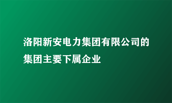 洛阳新安电力集团有限公司的集团主要下属企业