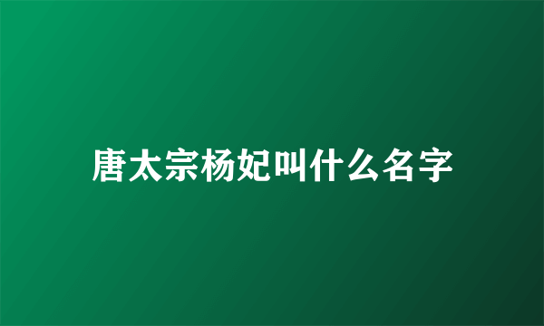 唐太宗杨妃叫什么名字