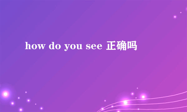 how do you see 正确吗