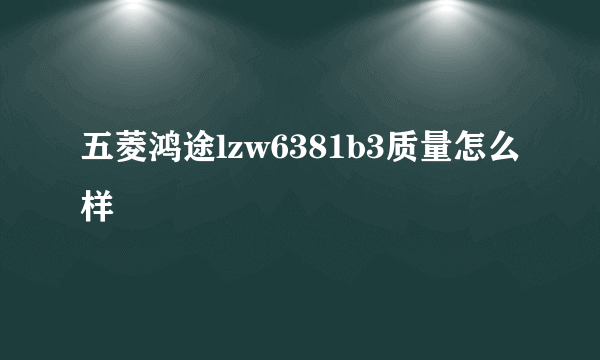 五菱鸿途lzw6381b3质量怎么样